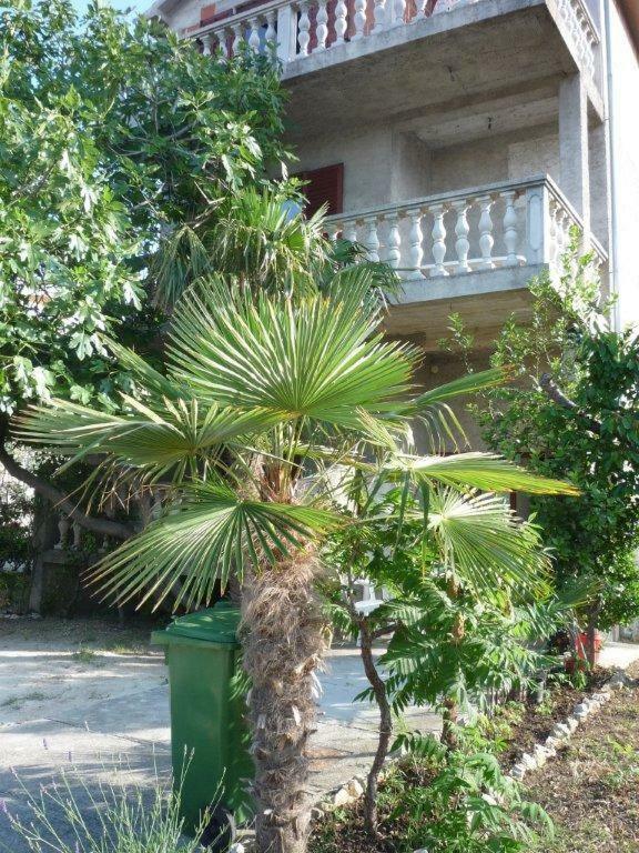 Apartments Ane Sukošan Kültér fotó